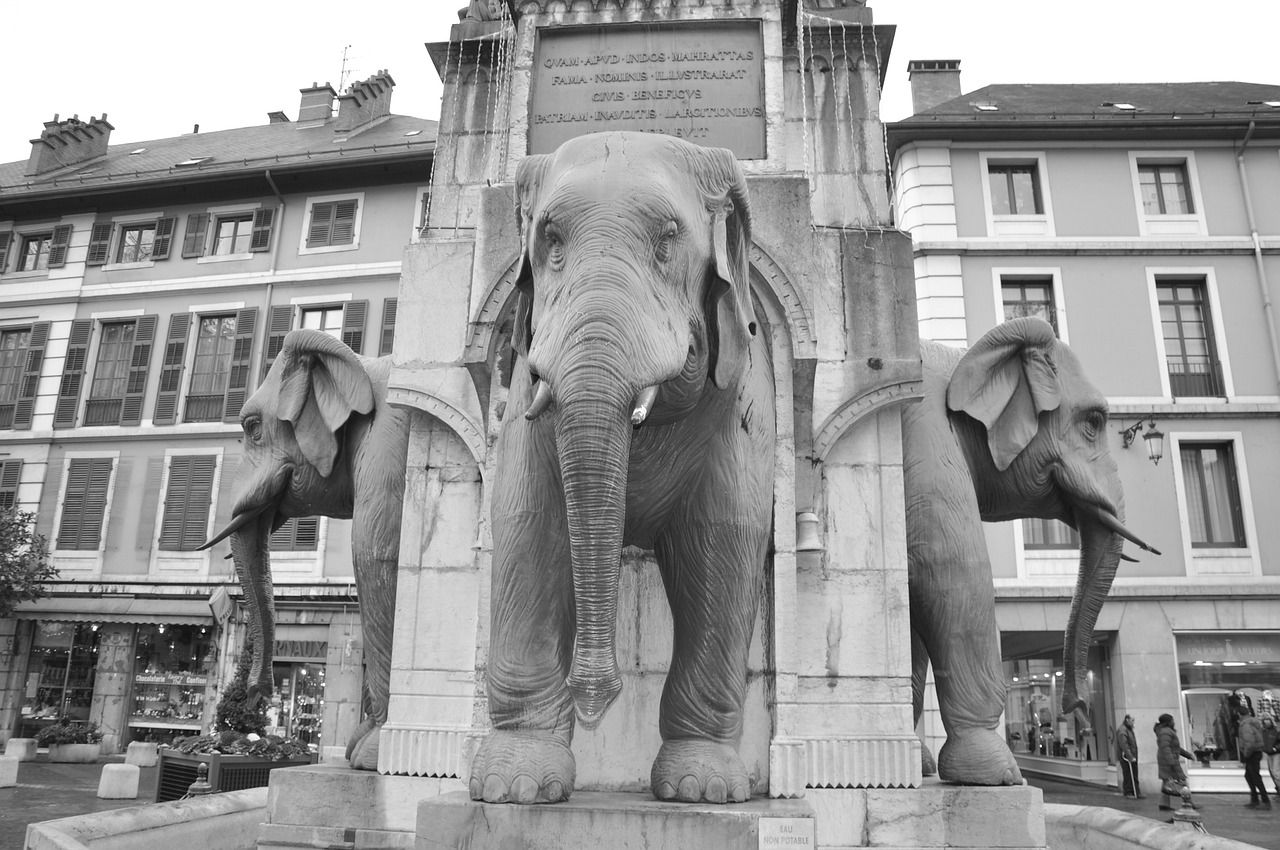 Place des éléphants Chambéry