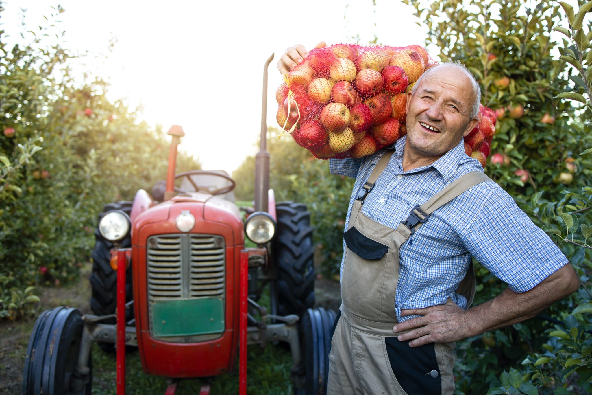 Agriculteur célibataire Agriculteur célibataire